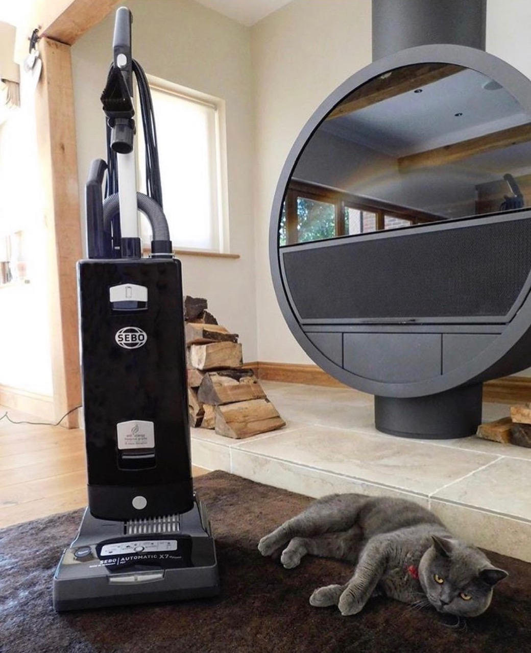 Sebo X7 Pet Boost for dog hair, cat hair, and deep pile carpets