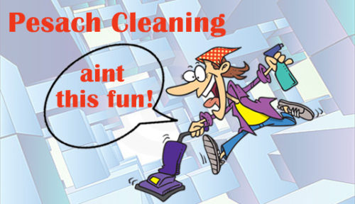 Pesach cleaning Prestwich Whitefield