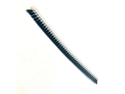 Sebo Evolution 300 Brushroll Strip (Black 10.75")